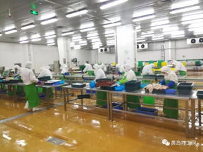 太平恩利食品加工廠高薪誠聘 包吃包住，男女不限，酒店管理崗月薪過萬